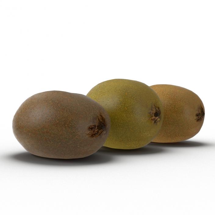 3D model Kiwi Collection