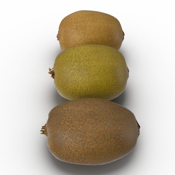 3D model Kiwi Collection