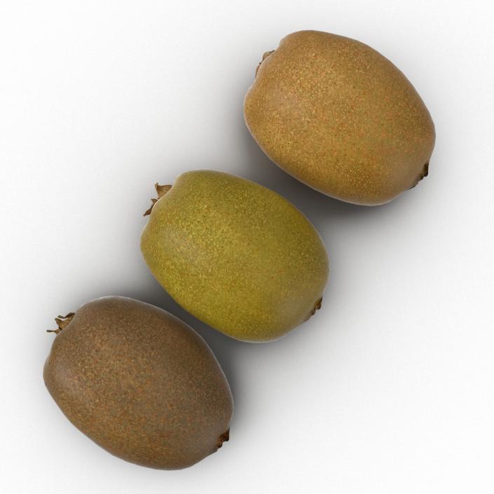 3D model Kiwi Collection