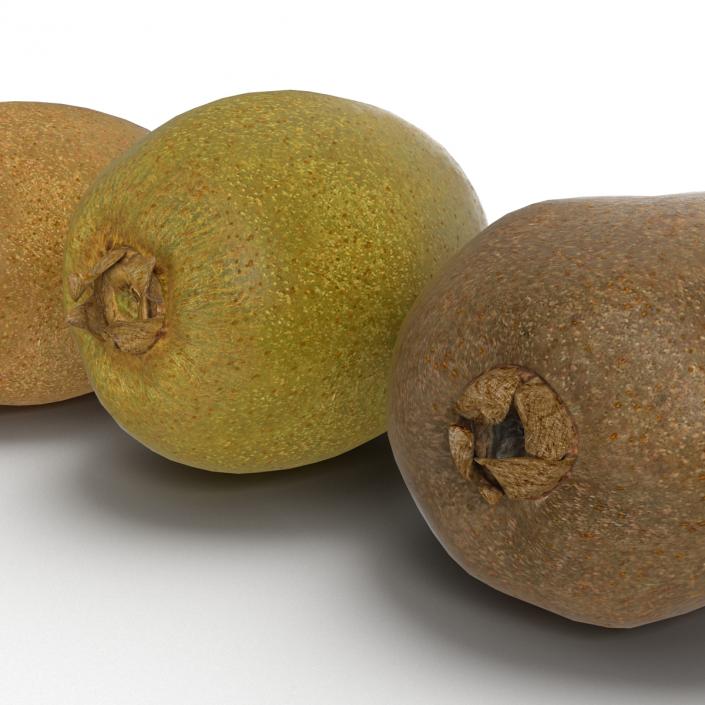 3D model Kiwi Collection