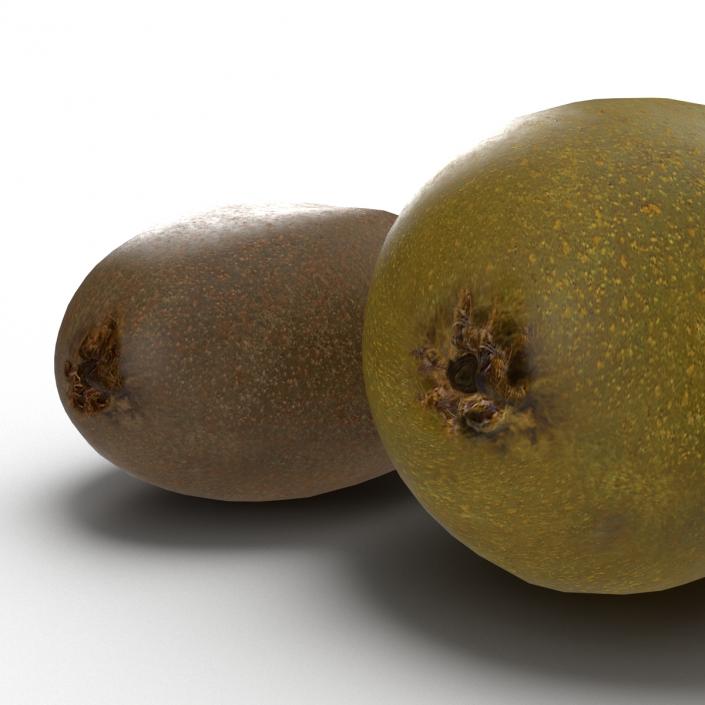 3D model Kiwi Collection