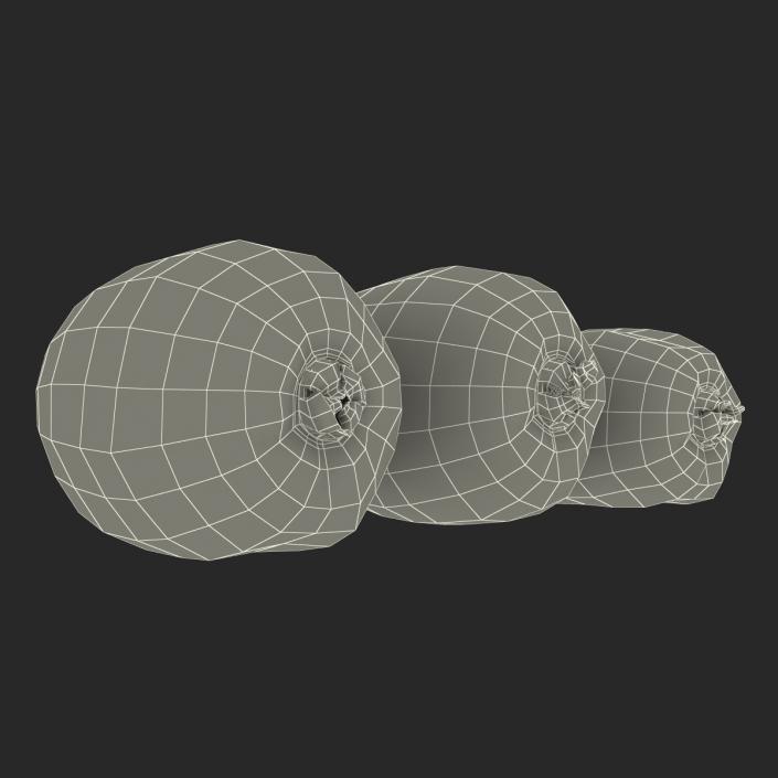 3D model Kiwi Collection