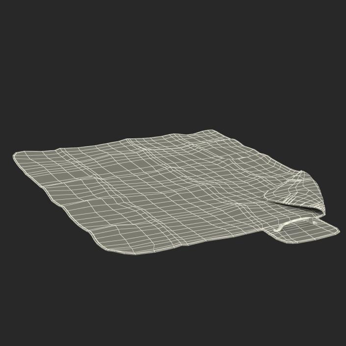 3D Picnic Blanket Red model