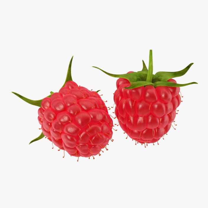 Raspberry 3D model