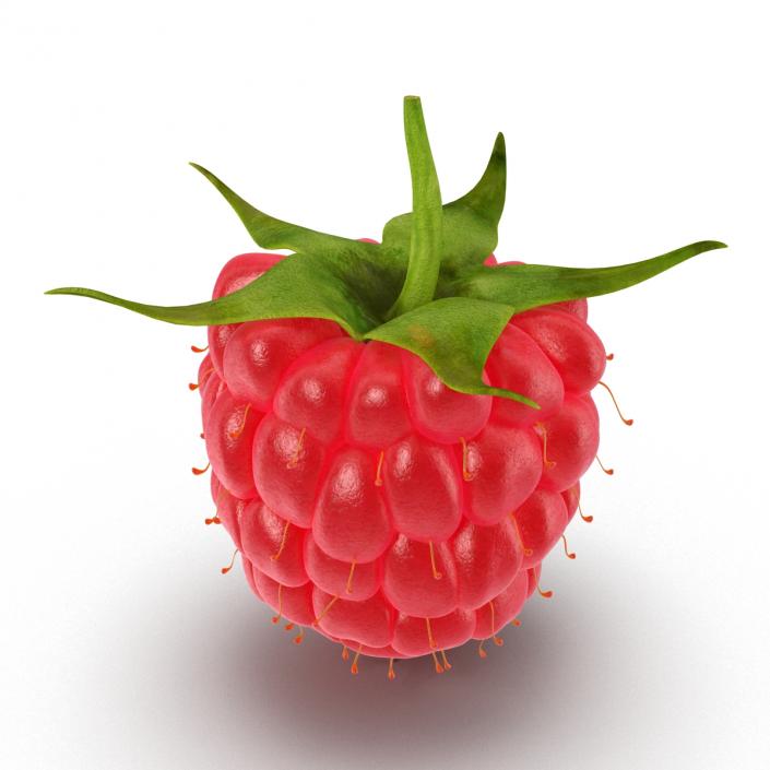 Raspberry 3D model