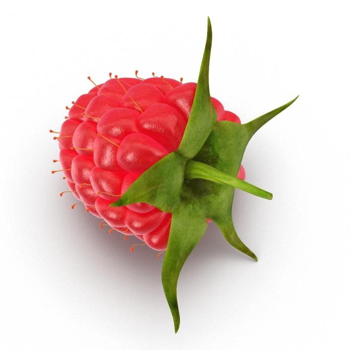 Raspberry 3D model