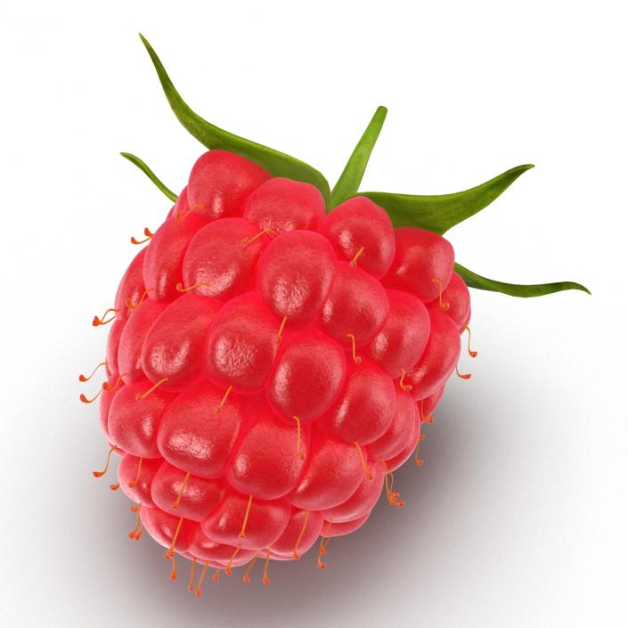 Raspberry 3D model