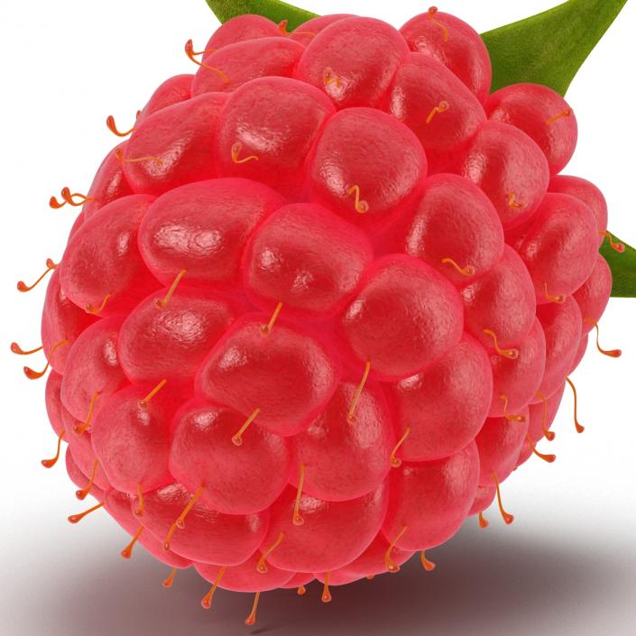 Raspberry 3D model