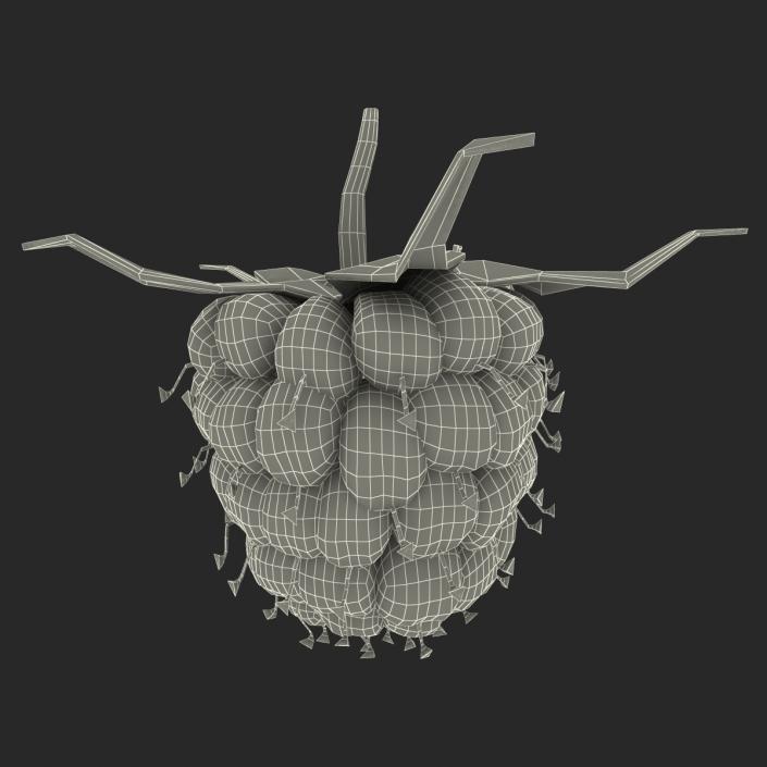 Raspberry 3D model