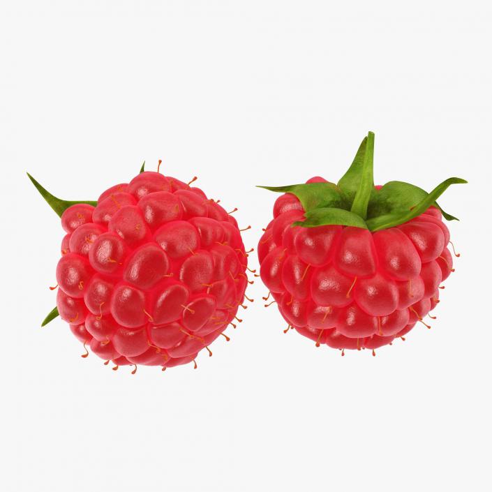 Ripe Raspberry 3D model