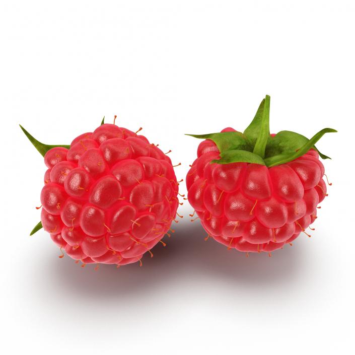 Ripe Raspberry 3D model