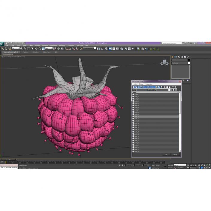 Ripe Raspberry 3D model