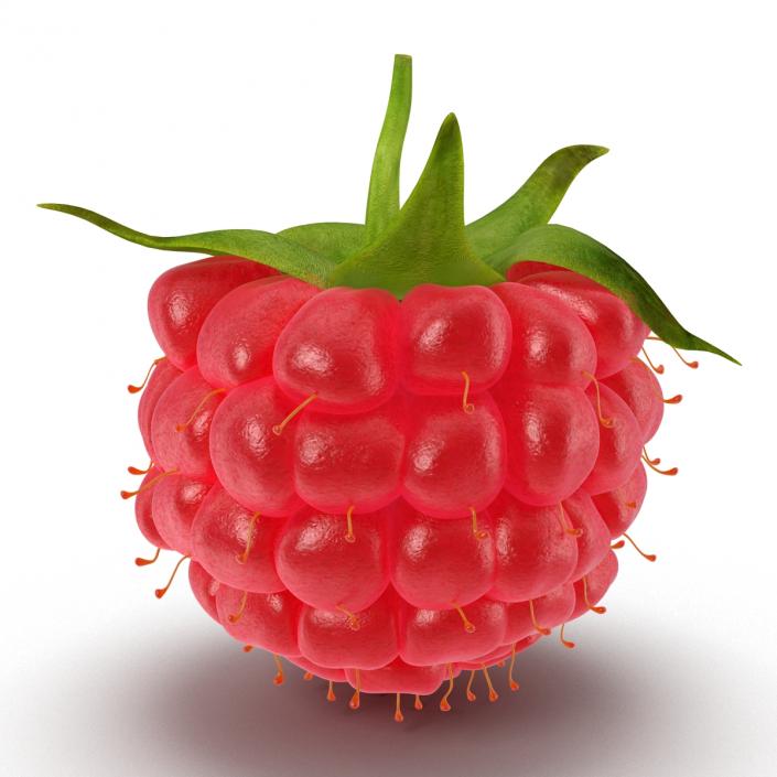 Ripe Raspberry 3D model