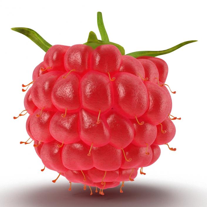 Ripe Raspberry 3D model