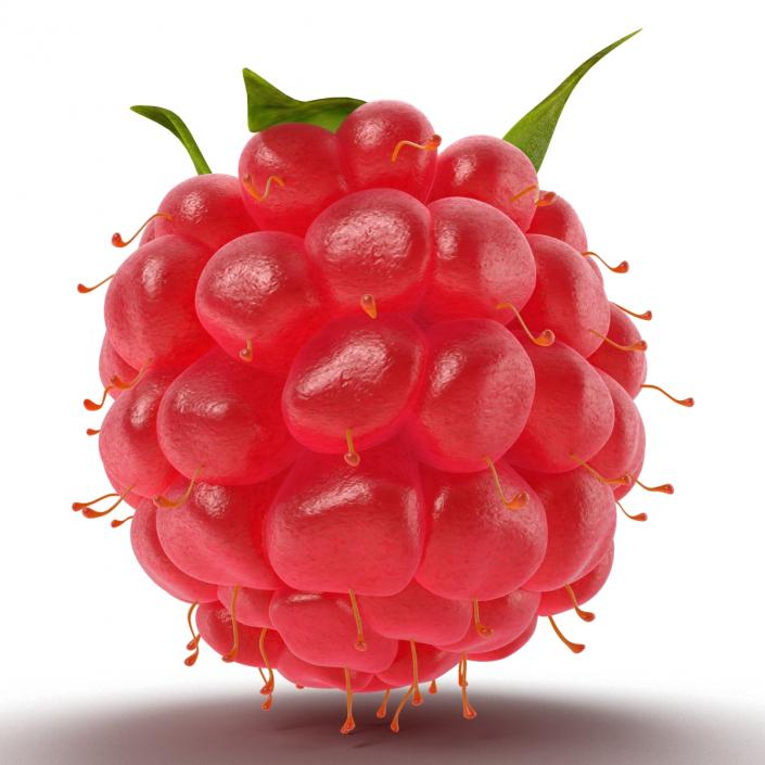 Ripe Raspberry 3D model