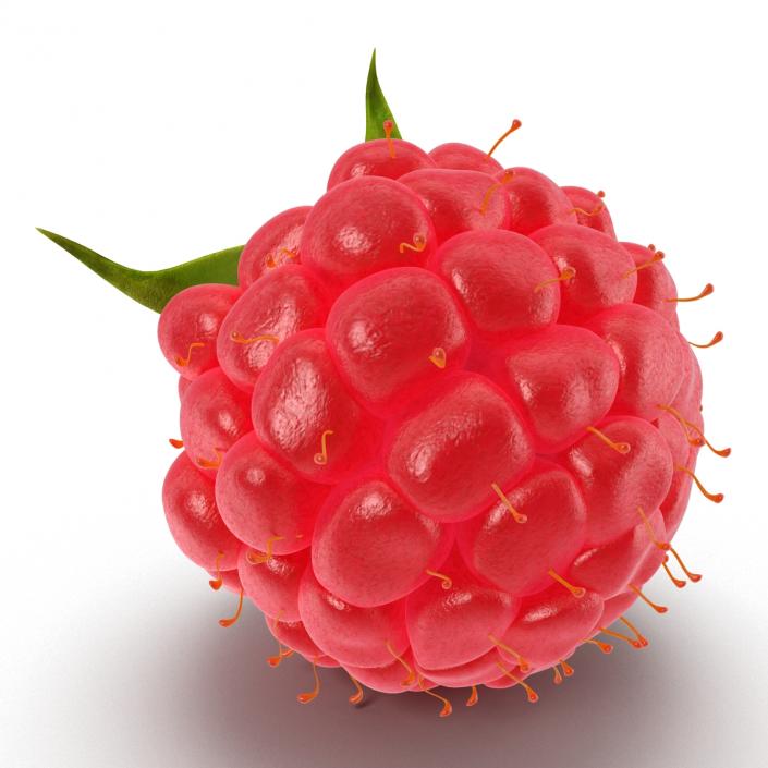 Ripe Raspberry 3D model