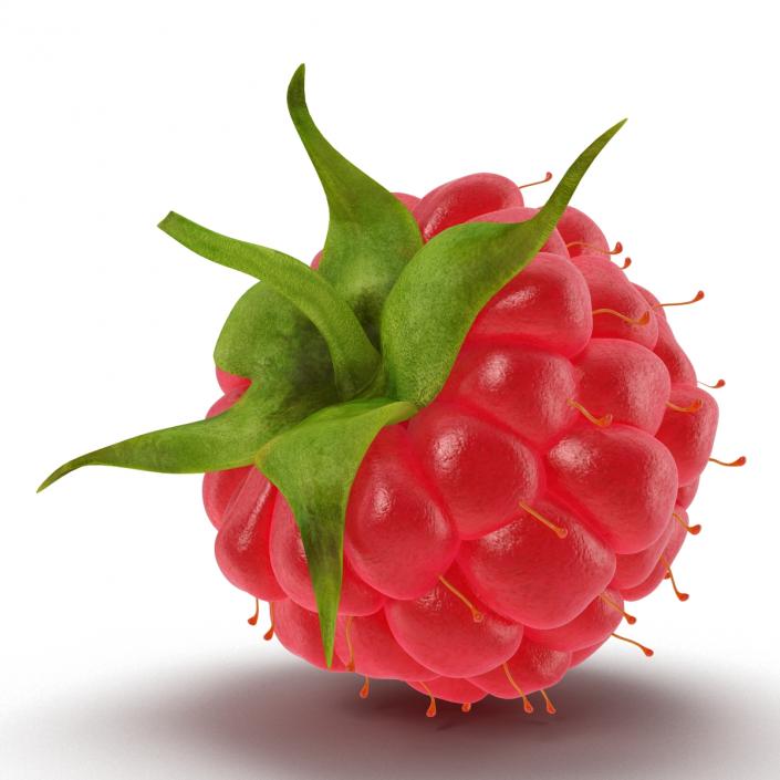 Ripe Raspberry 3D model