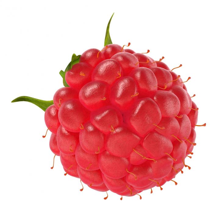 Ripe Raspberry 3D model