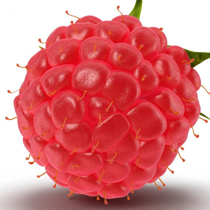 Ripe Raspberry 3D model