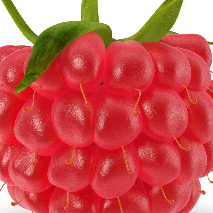 Ripe Raspberry 3D model