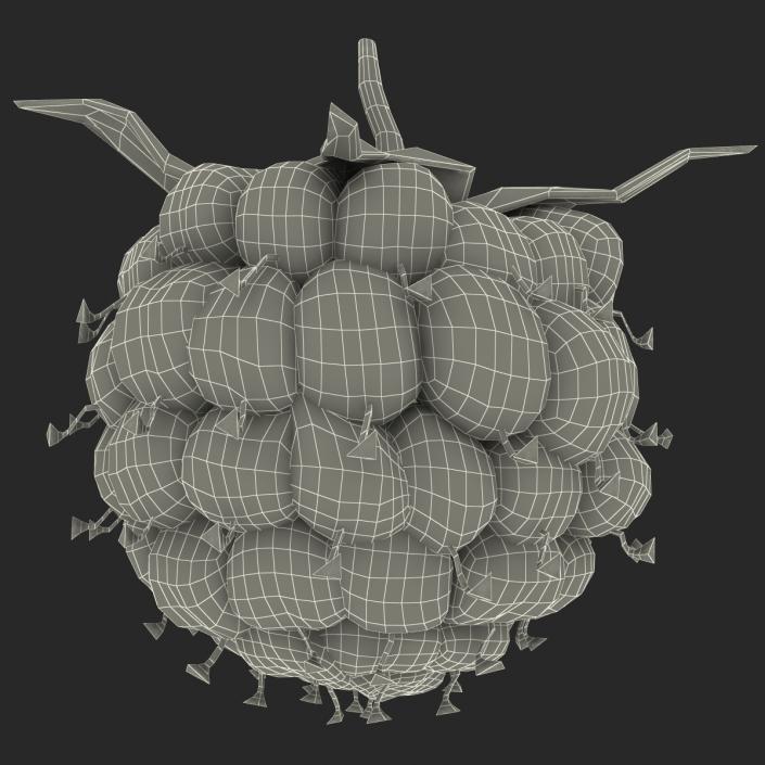 Ripe Raspberry 3D model