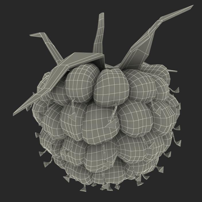 Ripe Raspberry 3D model