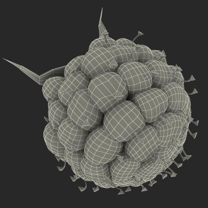 Ripe Raspberry 3D model