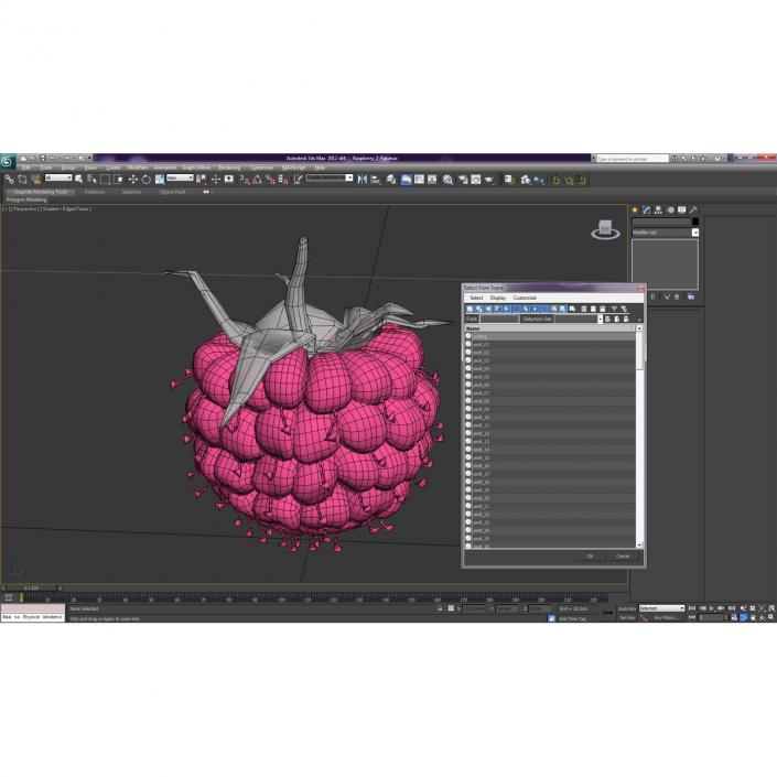 3D Raspberry with Fur model