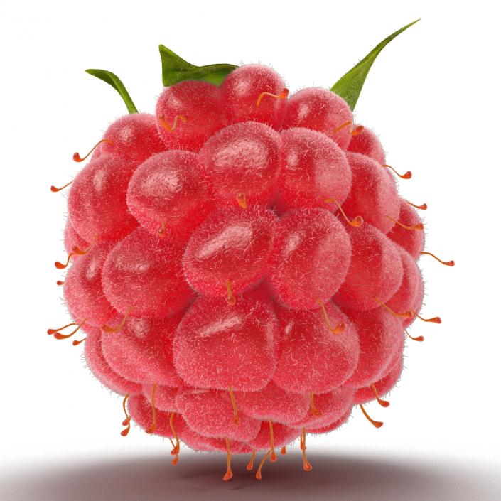 3D Raspberry with Fur model