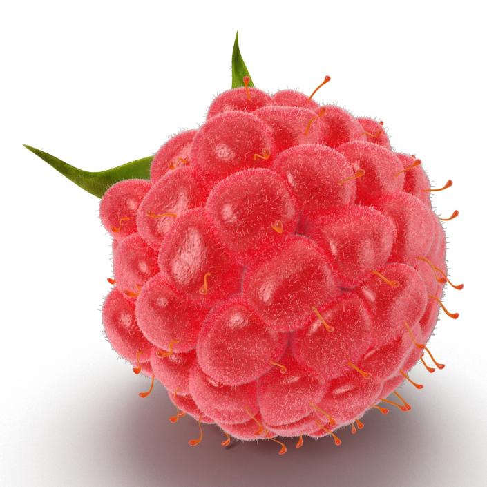 3D Raspberry with Fur model