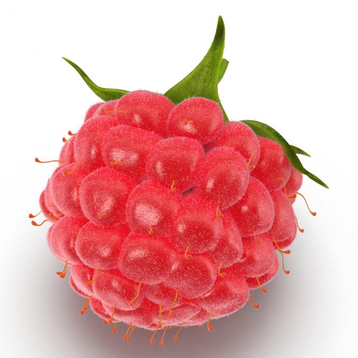 3D Raspberry with Fur model