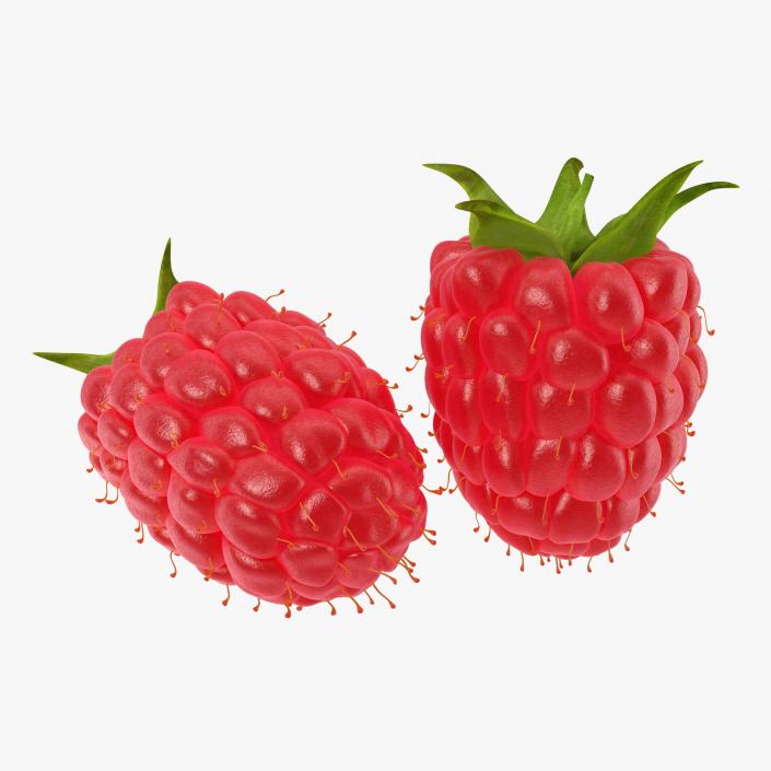 Fruits 3D Models Collection 2 3D model