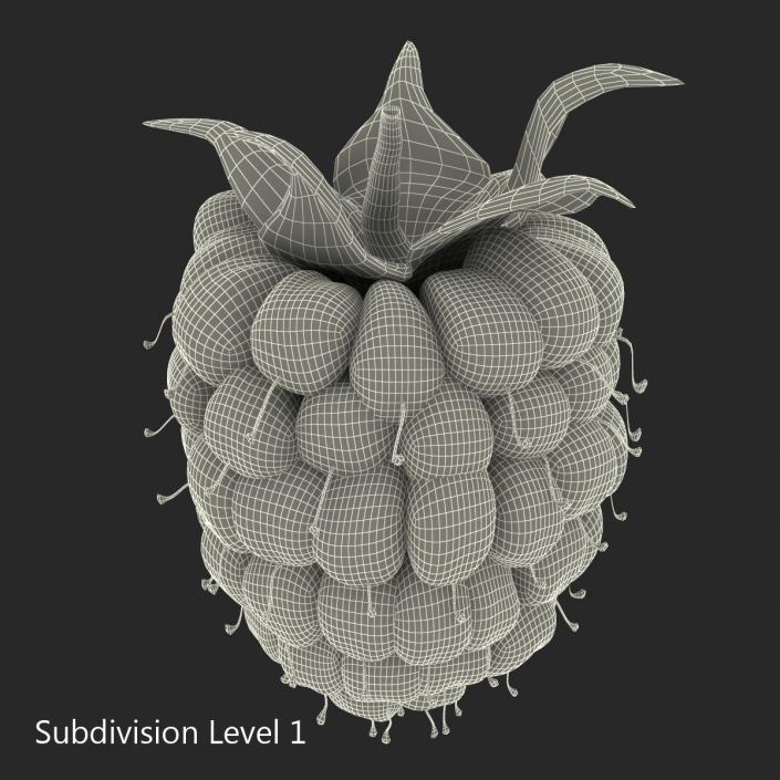 3D model Fresh Ripe Raspberry