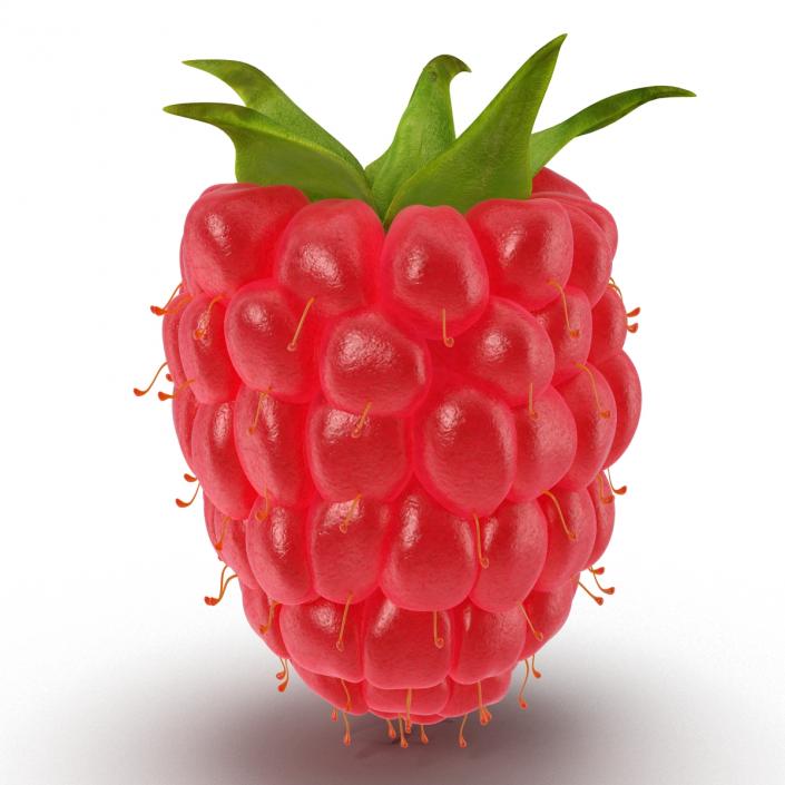 3D model Fresh Ripe Raspberry