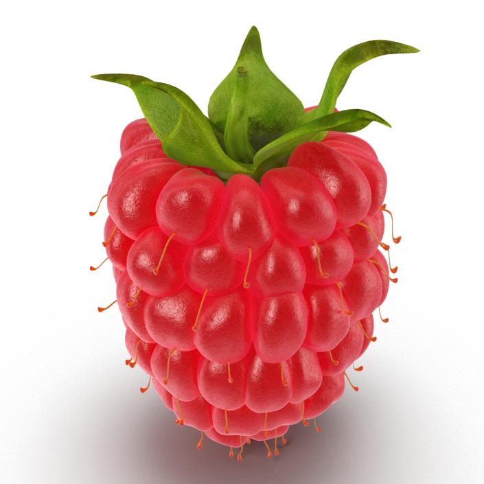 3D model Fresh Ripe Raspberry