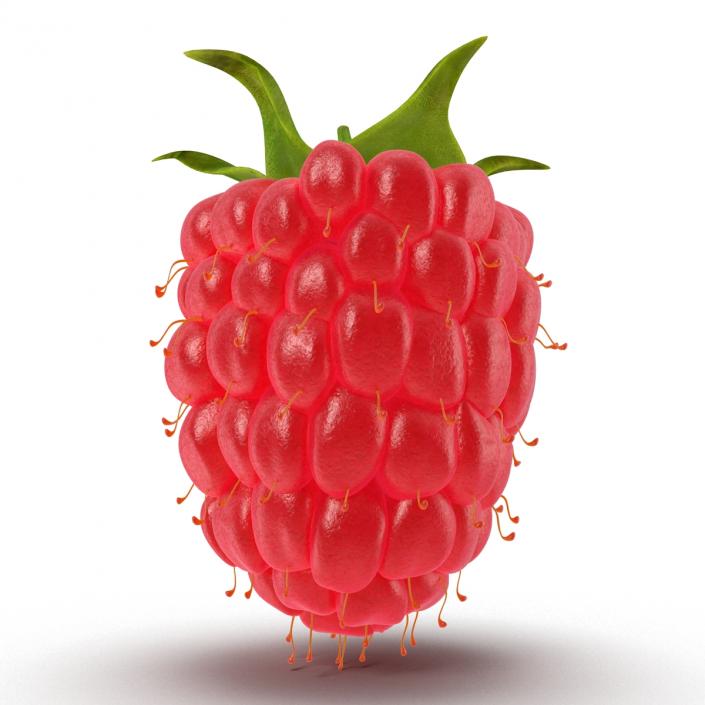 3D model Fresh Ripe Raspberry