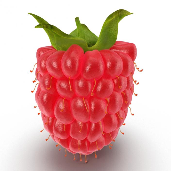 3D model Fresh Ripe Raspberry