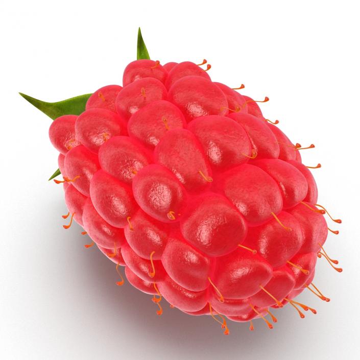 3D model Fresh Ripe Raspberry