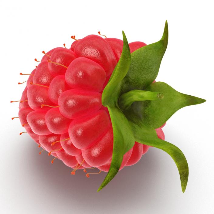 3D model Fresh Ripe Raspberry