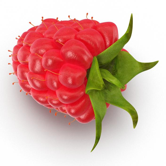 3D model Fresh Ripe Raspberry