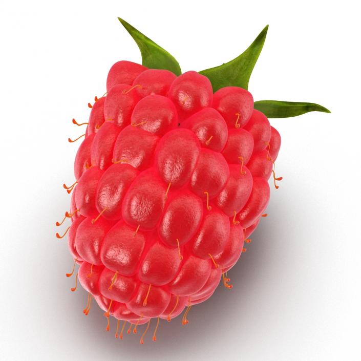 3D model Fresh Ripe Raspberry