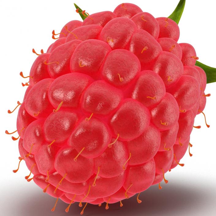 3D model Fresh Ripe Raspberry