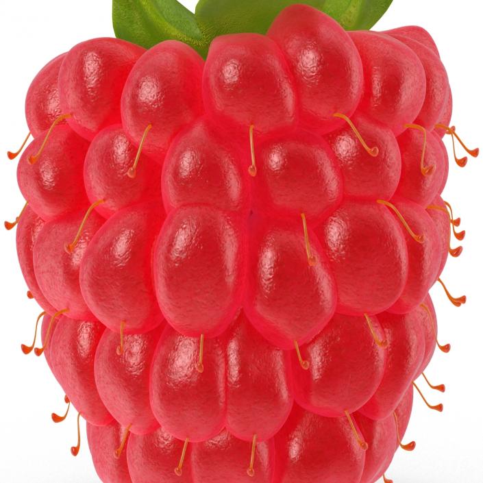 3D model Fresh Ripe Raspberry