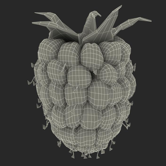 3D model Fresh Ripe Raspberry