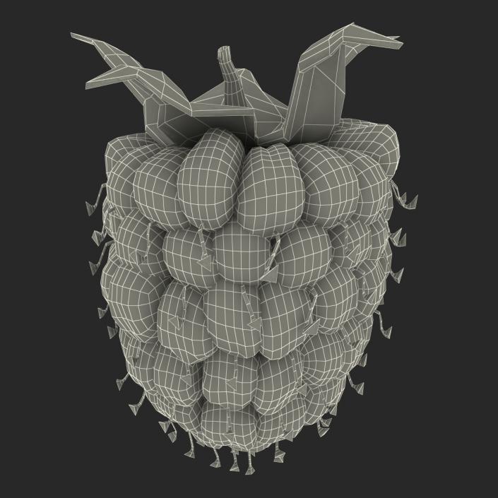 3D model Fresh Ripe Raspberry