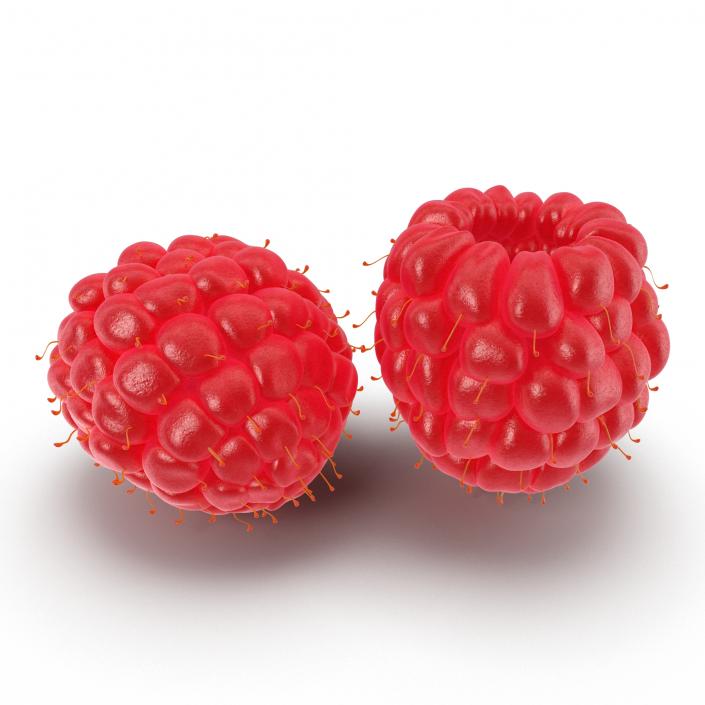 3D Raspberry 4