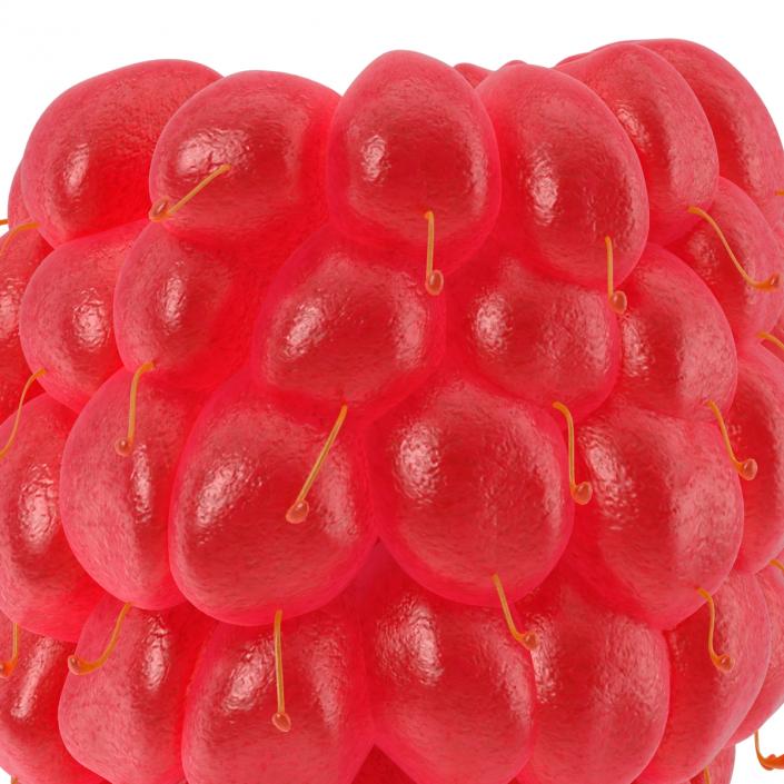 3D Raspberry 4