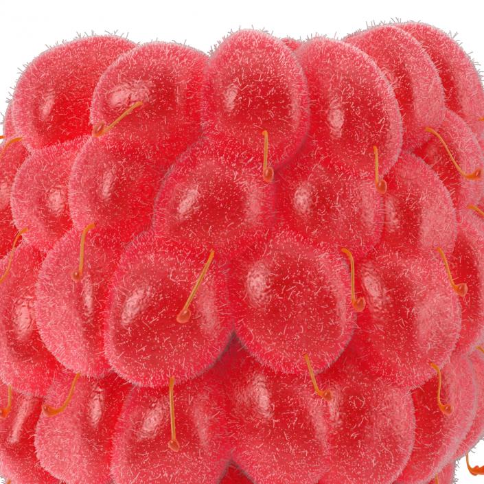 Red Raspberry with Fur 3D