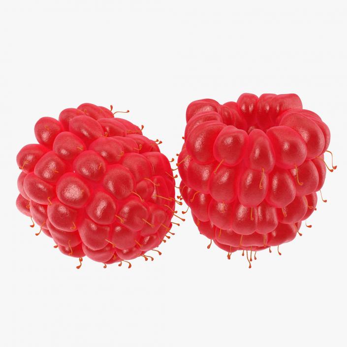 3D Red Raspberry model