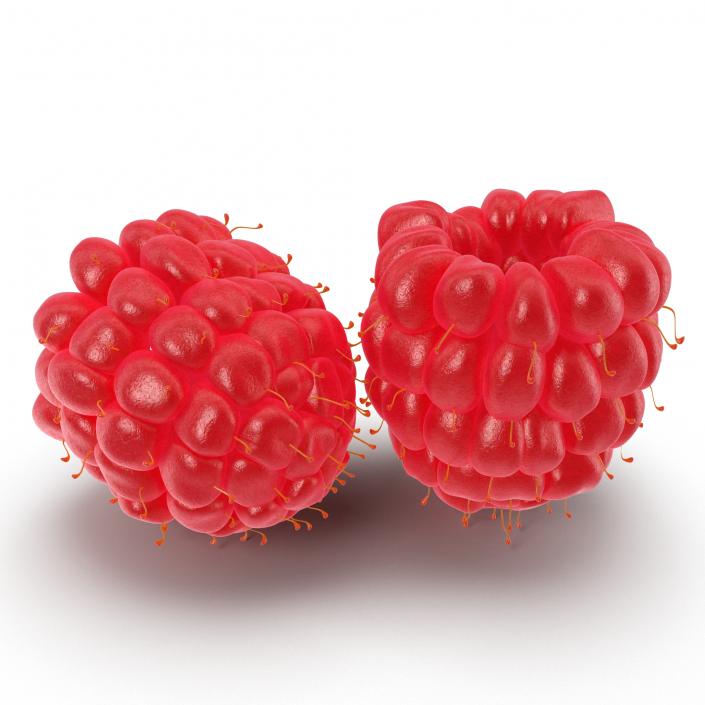 3D Red Raspberry model